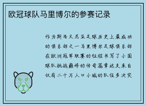 欧冠球队马里博尔的参赛记录